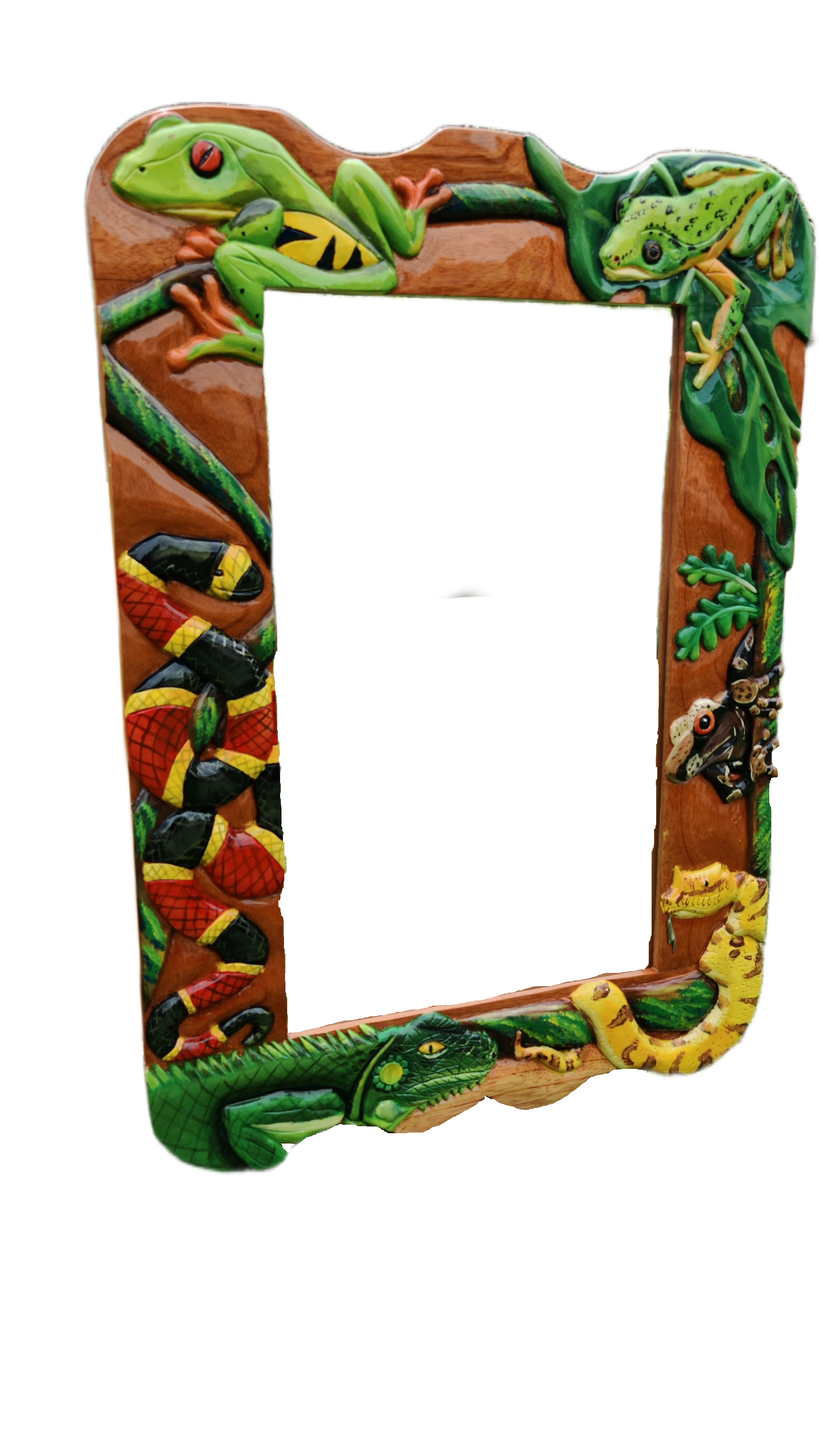 Hand‑Carved Tropical Reptiles & Amphibians Mirror
